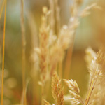 Thư mời chào giá cung cấp vật tư Dầu mỡ bôi trơn phục vụ sản xuất 6 tháng cuối năm 2021 tại Chi nhánh Mỏ tuyển đồng Sin Quyền, Lào Cai – Vimico.