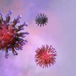 WHO trả lời 21 thắc mắc mới nhất về virus corona